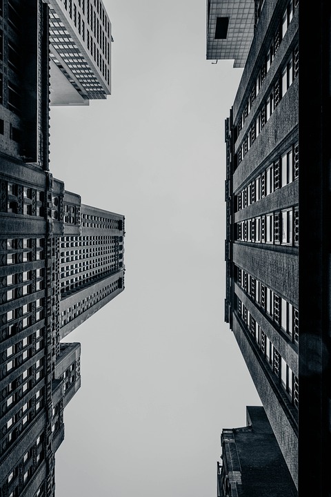From Brick-and-Mortar to Click-and-Order: Adapting Your Business to the Digital Age